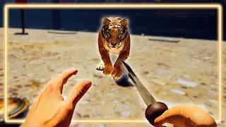 Taking On Tigers With No Formal Training | Gladius VR