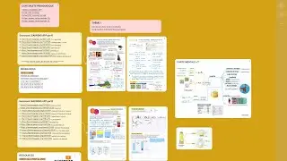 Présentation de la SPC en 6eme