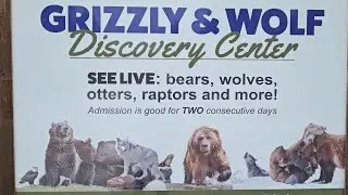 Grizzlies and Wolves Wyoming by Yellowstone National Park