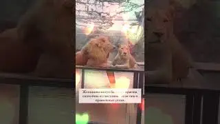 #психология  #отношения #рек #топчик