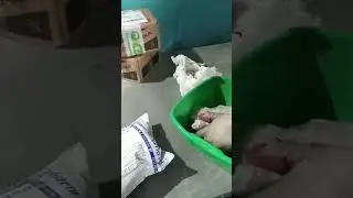Купим ваш катализатор дорого!