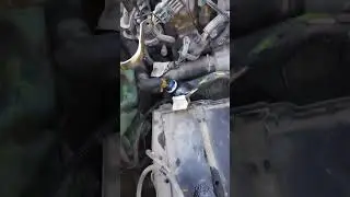 2 августа 2024 г.