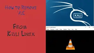 How To Remove | VLC media And It's Files | From Kali Linux