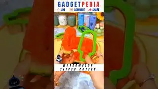 Watermelon Cutter Mould 