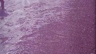 Крым классное видео(63)