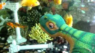 The Cute Pleo Watching The Fish!