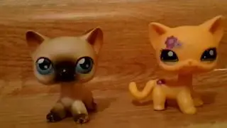 Мои любимые LPS/ Littlest pet shop