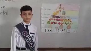 What Is Food Pyramid|About Food Pyramid|