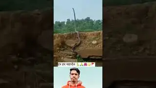 pata nahin kis Yug mein Aakar Narayan mil jaega 🌺🚩🔱 sheshnag 🐍 Har har Mahadev 🔱🙏 