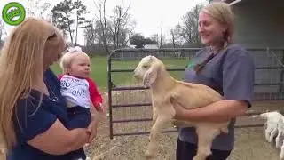 Нашли общий язык