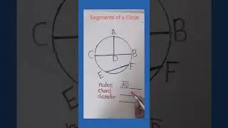 Segments of a Circle #shorts