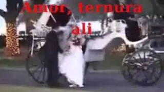 Señor Cochero - Sandro de América KARAOKE
