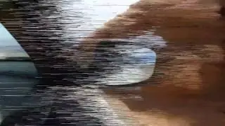 ì℣⍽ ⚉‰