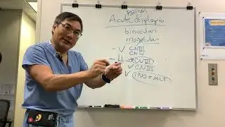 Reasons to scan diplopia