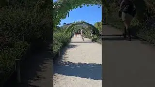 Что я сняла 🤦🤦🤦🤦Некоторым девушкам нужно помнить,во что они одеты 😅