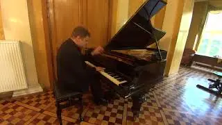 Peter Laul plays Schubert 4 Impromptus D935 / op. 142