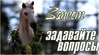 вопрос-ответ ЗАПРЕТ шляйх сериал