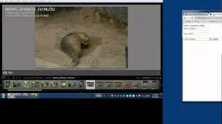 Remote control Lightroom from a Web browser