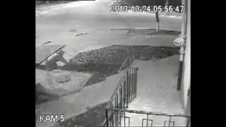 Бабка ворует цветы магазин Виктория!