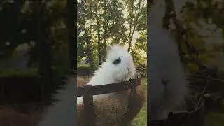 Умка мамонтёнок 🐰