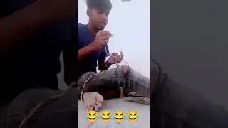 new viral funny 🤣 #vfx #funny #2023