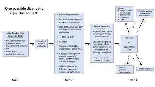 An Approach to Fever of Unknown Origin (FUO)