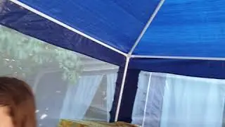 Летучая мышка в беседке