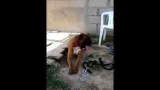 video 2012 08 18 16 22 39