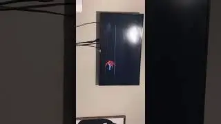 Waiting for shadow the hedgehog to load
