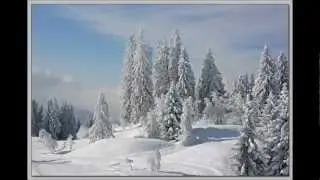 Зимняя фантазия - Бах-Вивальди - проект 