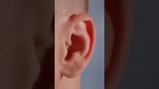 Умеешь шевелить ушами??? 