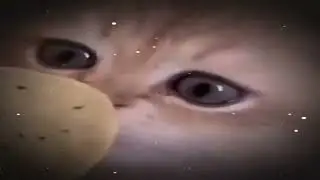 Антоха дрова