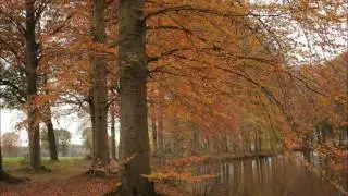 Kleur zonder zon, herfst 2011