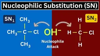 Best Explanation of SN1 Reaction and SN2 Reaction