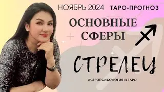 СТРЕЛЕЦ ПРОГНОЗ ВСЕ СФЕРЫ ЖИЗНИ НА НОЯБРЬ 2024