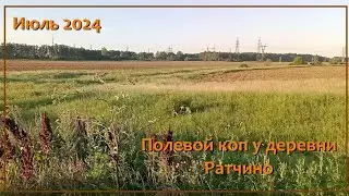 Полевой коп у Ратчино  27 06 24