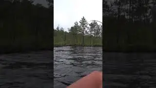 Рыбалка. окунь на серебро. рот больше чем блесна. 