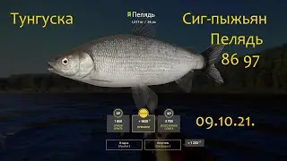 рр4! Тунгуска  Пелядь Сиг-пыжьян  поплавок!!!