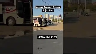 Москва Ташкент Бухара автобус ￼#ташкент #автобус #дальнобой #топ #тикток #avtobus #такси ￼
