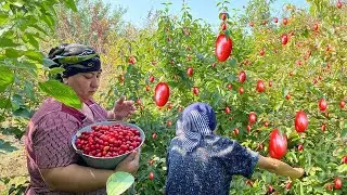 Picking CORNELIAN CHERRIES and Making JAM and Baking Mosaic BISCUITS