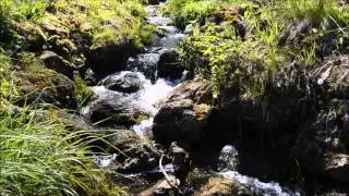 Mystik H2O