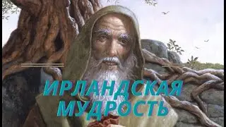 Ирландская мудрость