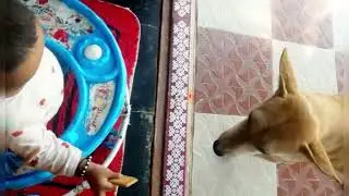 street dogs also has emotions😍😍 #shreejashivamogga #doglove #petlove #cutevideo #care