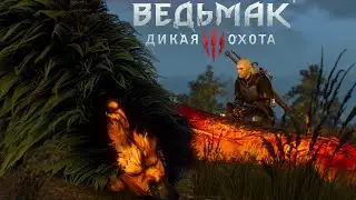 Прохождение Ведьмак 3: Дикая Охота— Часть 2•БЕСТИЯ ИЗ БЕЛОГО САДА