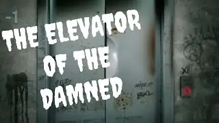 THE FACE IN THE WINDOW