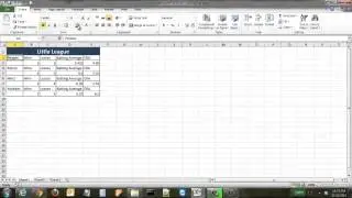 How to Use the Format Painter in Excel