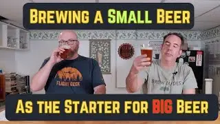 Brew a Low Gravity Beer as a Starter for a High Gravity Beer