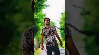 Punjabi status attitude punjabi status