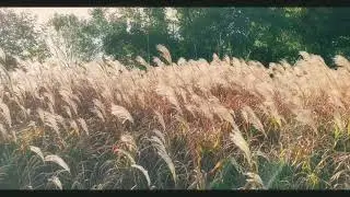 Everway- A Little More