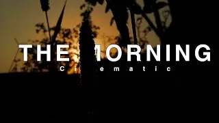 The Morning Nature Cinematic video  |Short Film|Morning Cinematic 2021